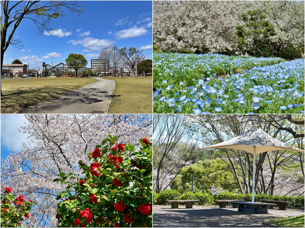 【豊田】西山公園はピクニックやレジャーにぴったり！四季折々の植物も見応え抜群