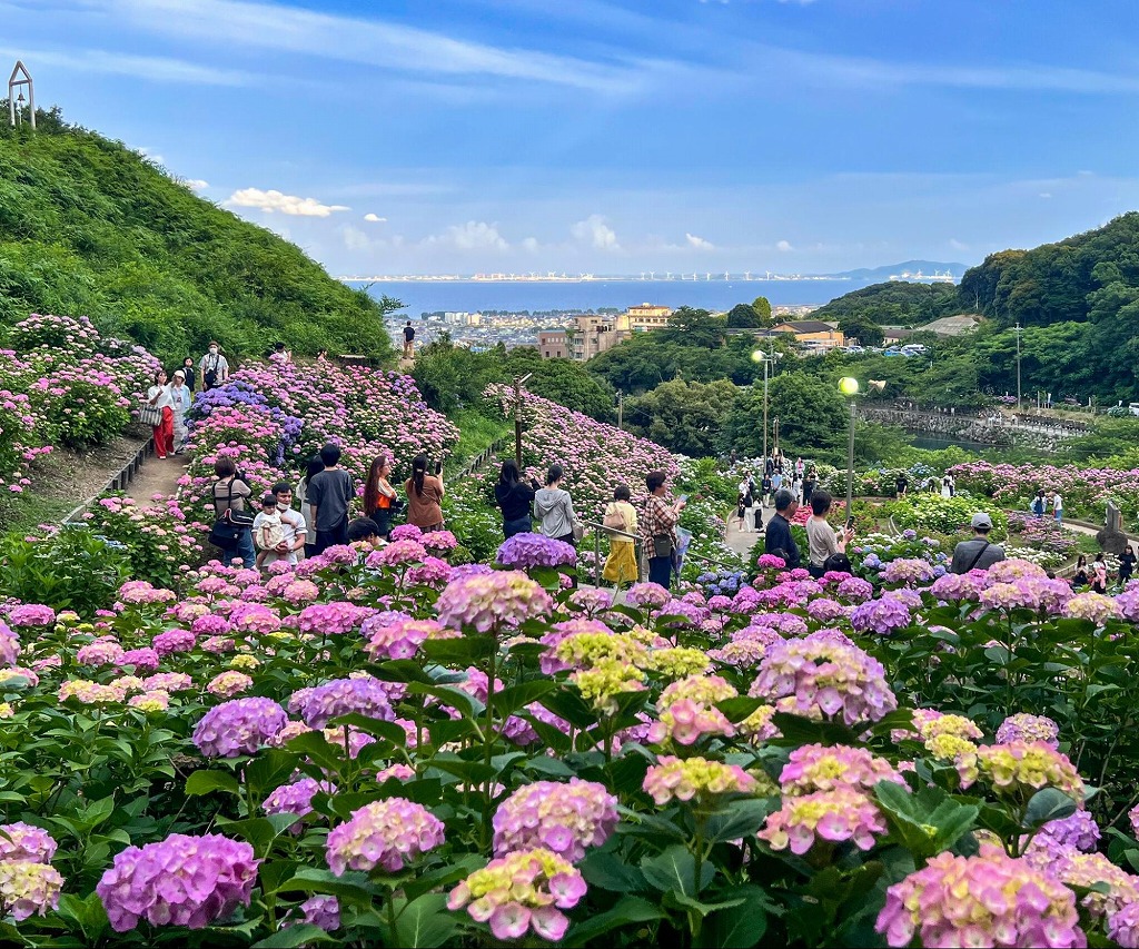 梅雨の彩りを楽しむ！豊田から行けるあじさいの名所＆イベント　12選