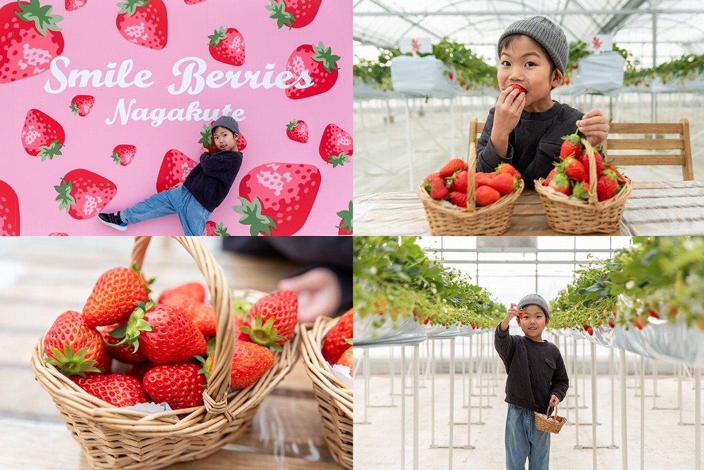 【長久手】笑顔と幸せを創造するいちご屋「すまいるベリーズ長久手」でいちご狩りを楽しもう！