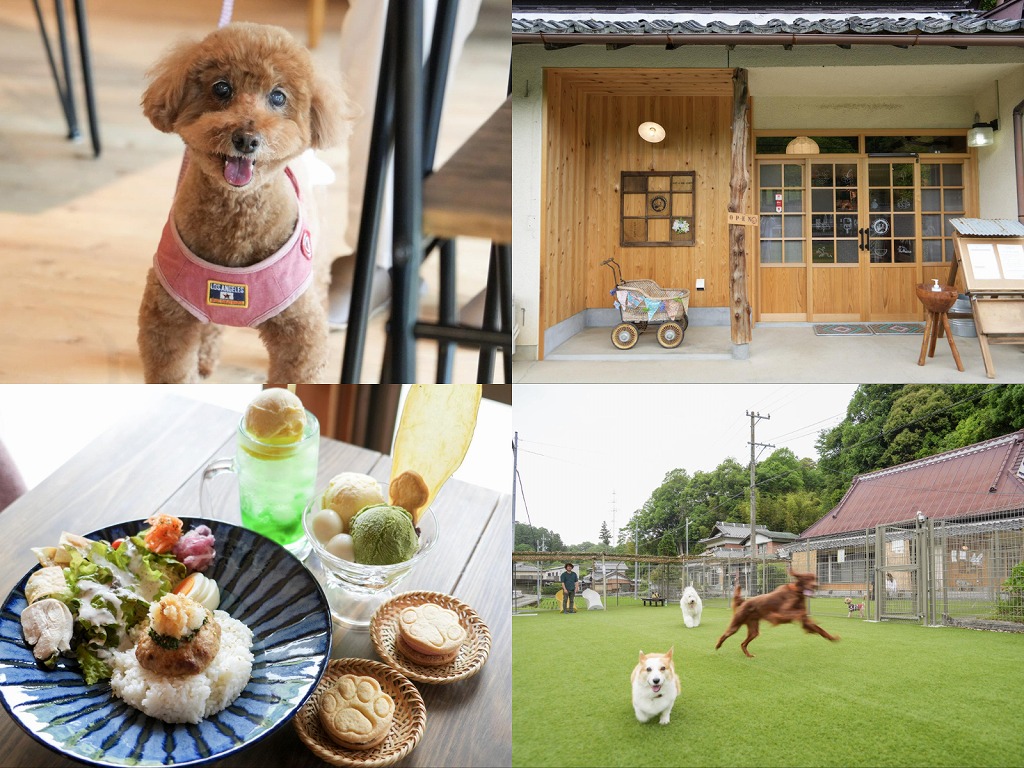 【豊田】ドッグラン併設！ワンちゃん好きのためのドッグカフェ「タダノイヌヅキ」