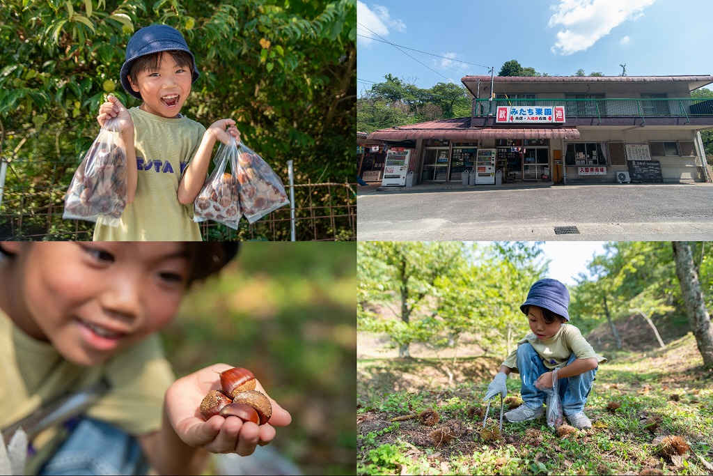 【豊田】予約不要！愛知県で唯一、栗拾いが楽しめる「足助みたち栗園」