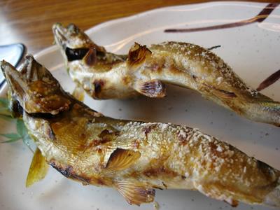 ◆鮎の塩焼き
