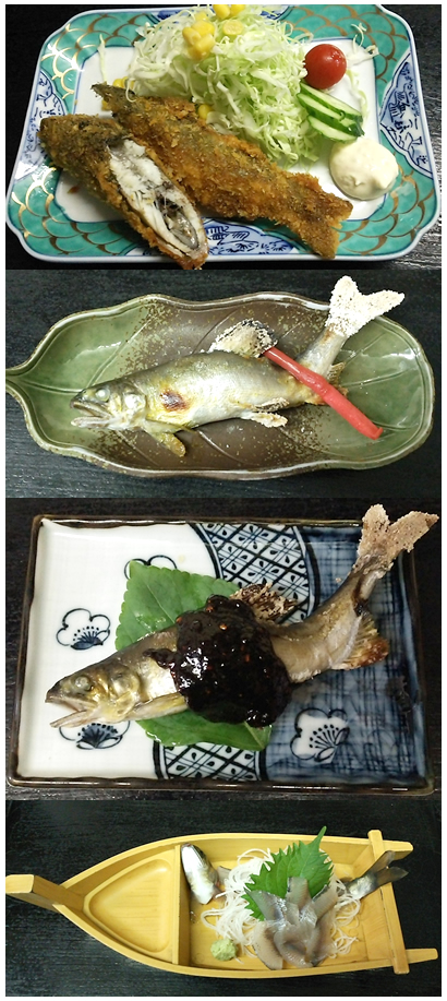 鮎メニュー<単品/定食>