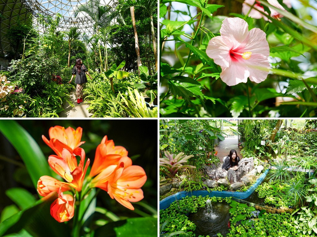 【豊田】入場無料！まるで南国気分？！ 隠れ映えスポット「鞍ケ池公園」の植物園