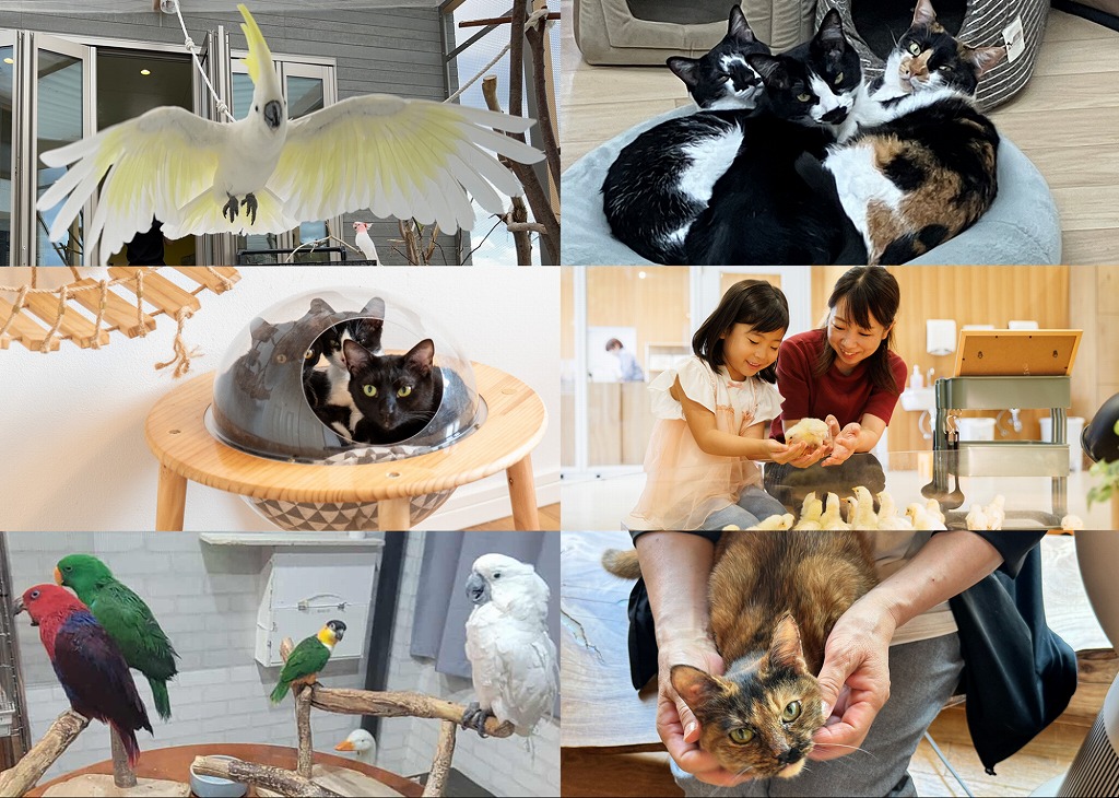 癒されたい日にぴったり！豊田市周辺のアニマルスポット6選