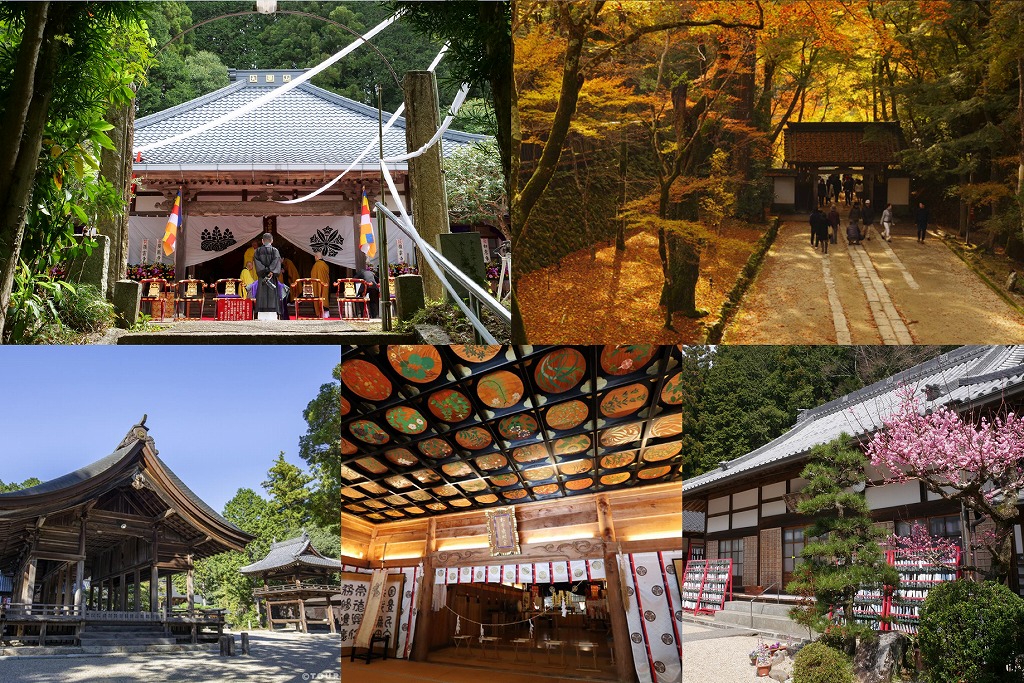 【豊田】パワースポットに行こう!運気の上がるおすすめの神社・仏閣5選
