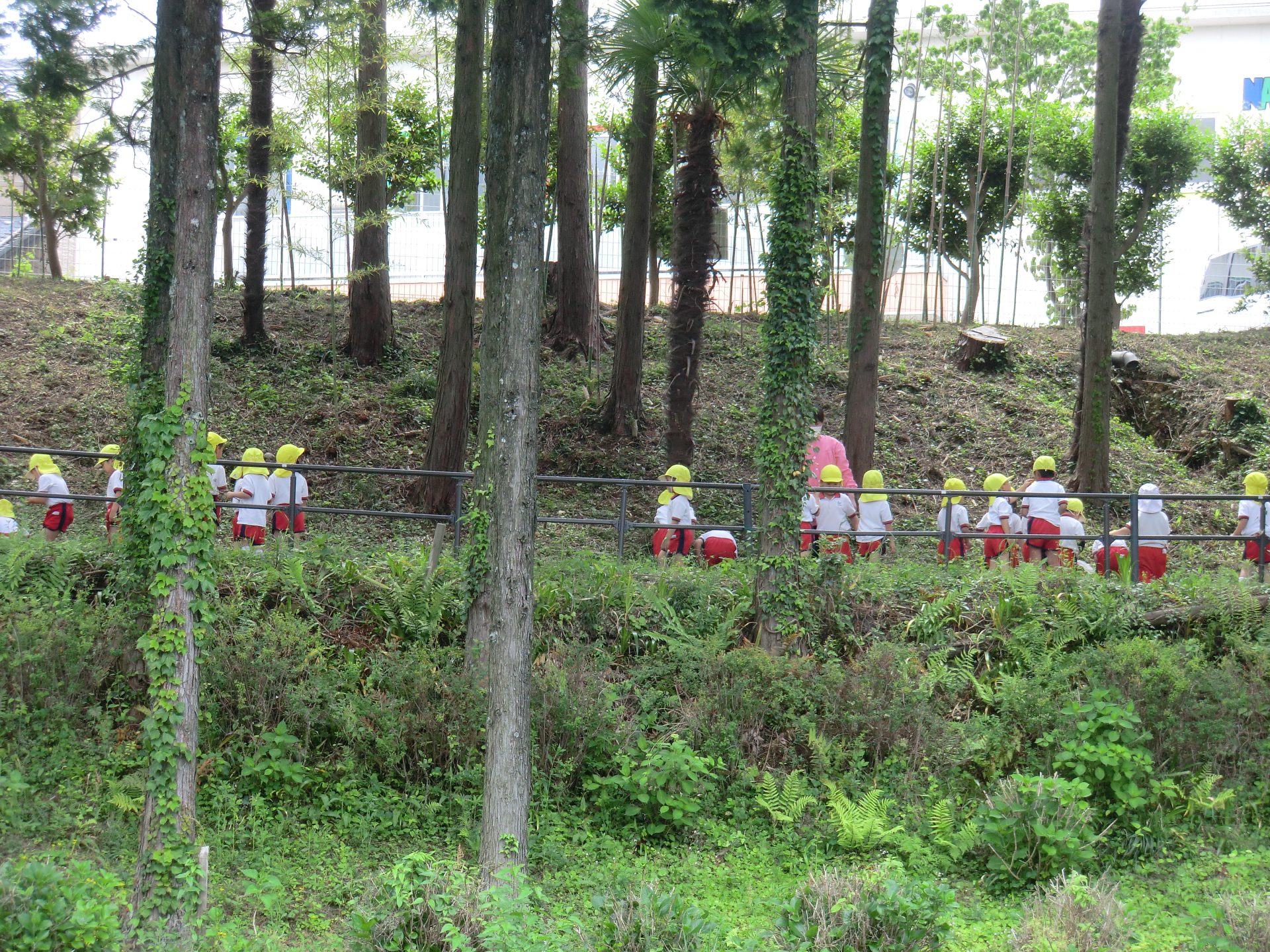 ふれあい散策路