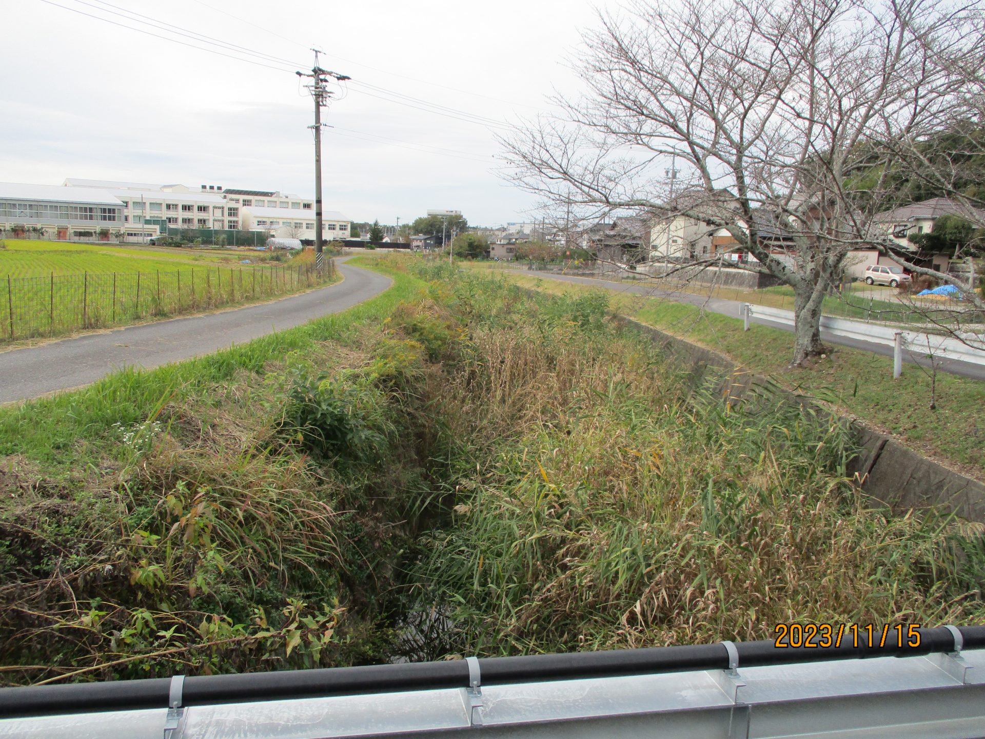 環境美化（河川・地域全域）