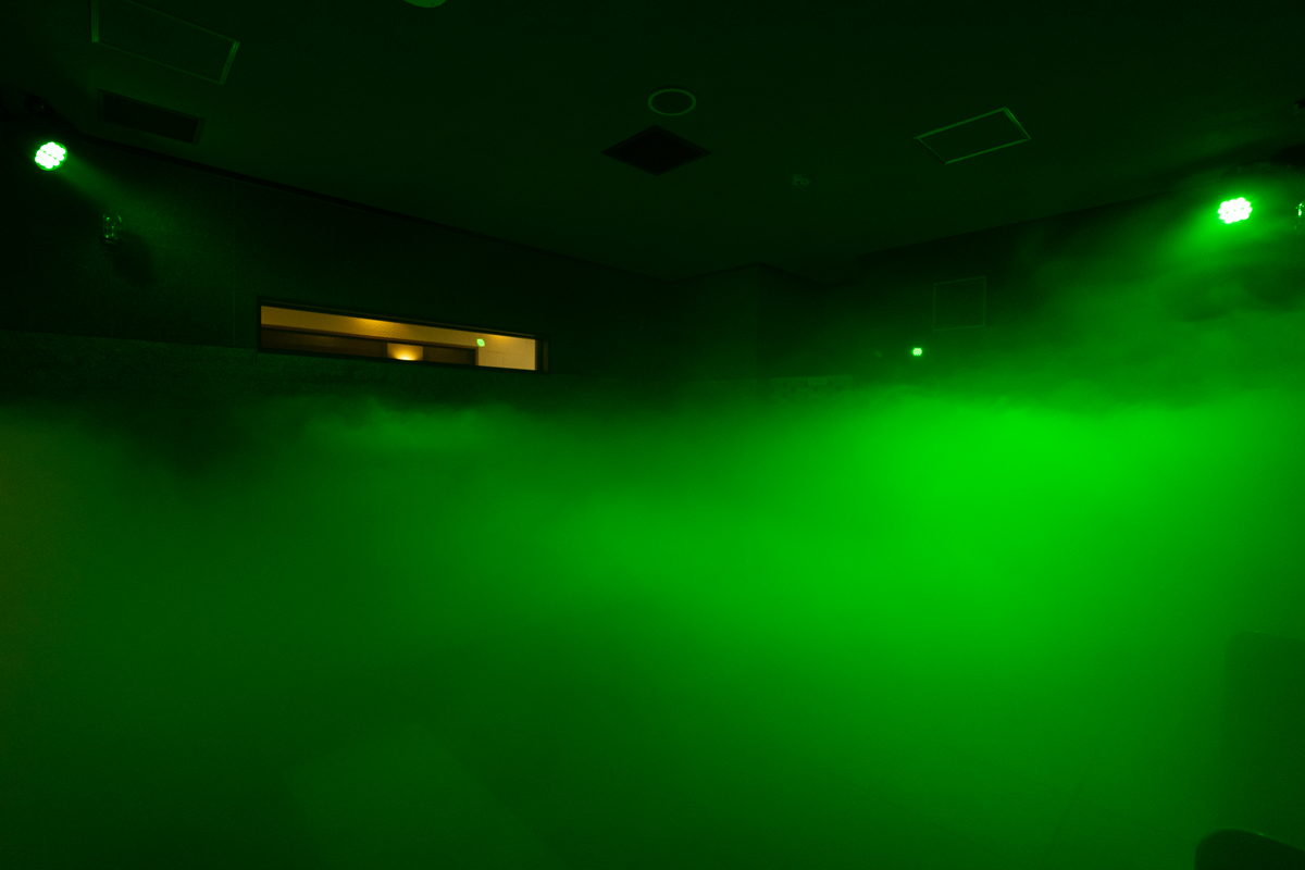 【岩盤ぞ～ん】向日葵（ひまわり）