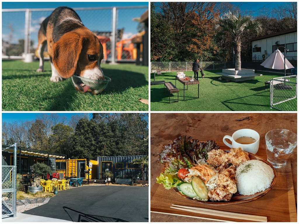 【豊田】「〇〇 Dogrun&cafe」プランツショップも併設した、アメリカンなドッグラン&カフェ