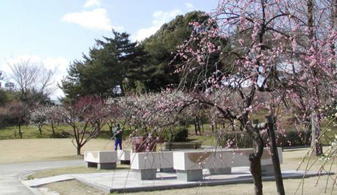 豊田南ライオンズクラブ