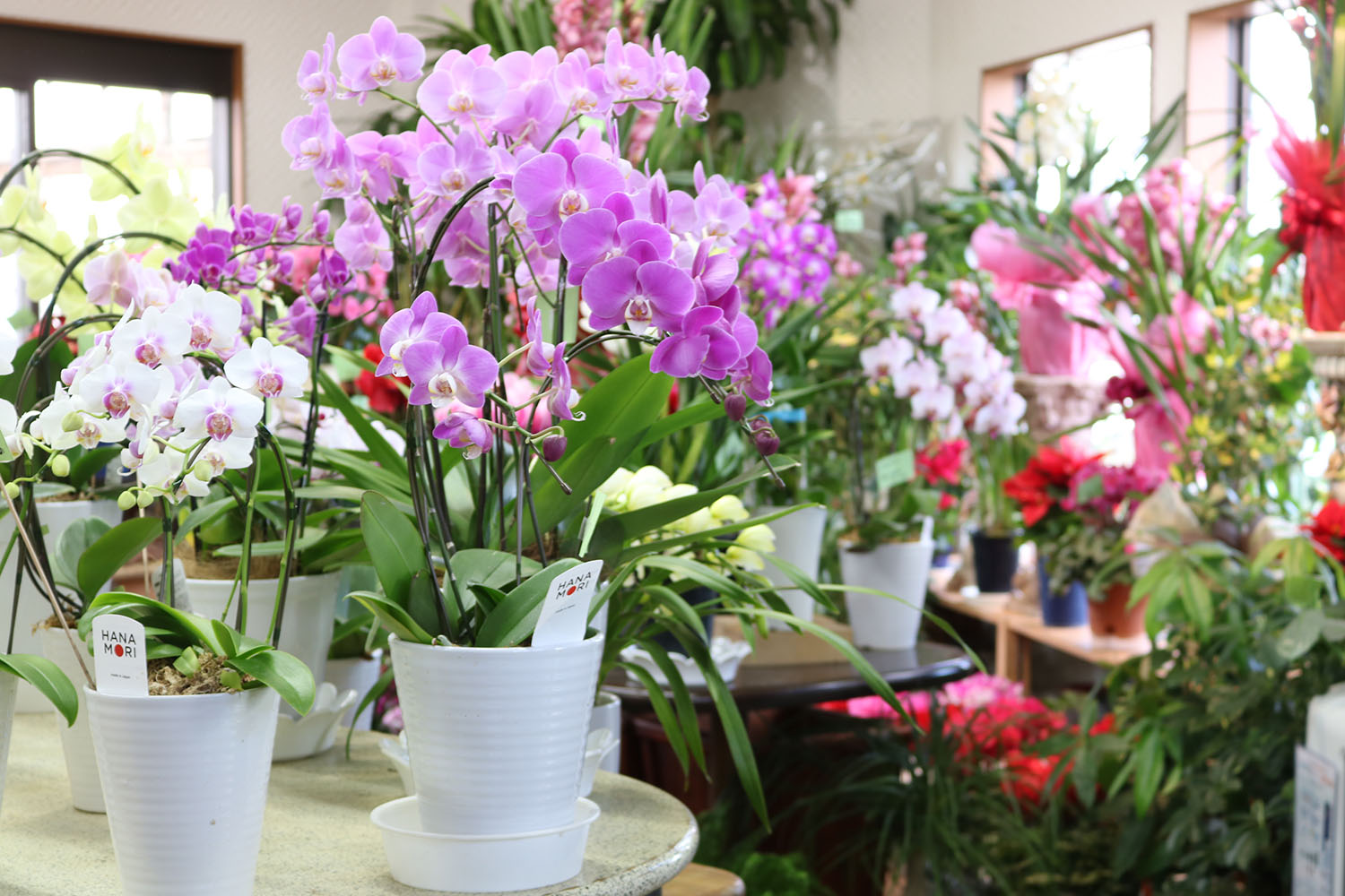 （有）フラワーショップ花鈴