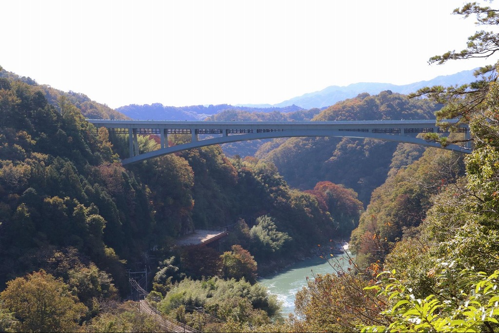 遠くから望む天龍峡大橋