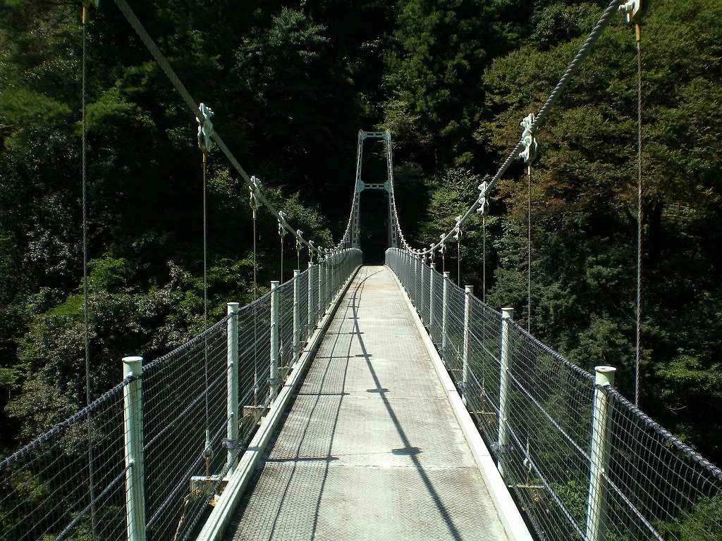 天竜峡　つつじ橋