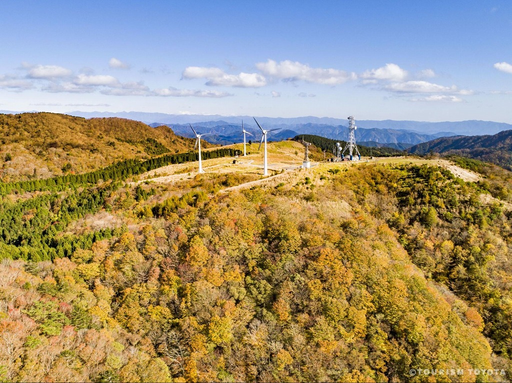 紅葉の時期の面ノ木原生林　画像：一般社団法人ツーリズムとよた