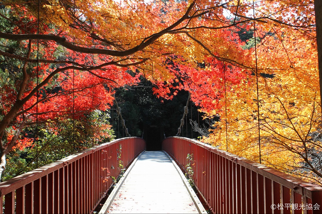 中之瀬大橋
