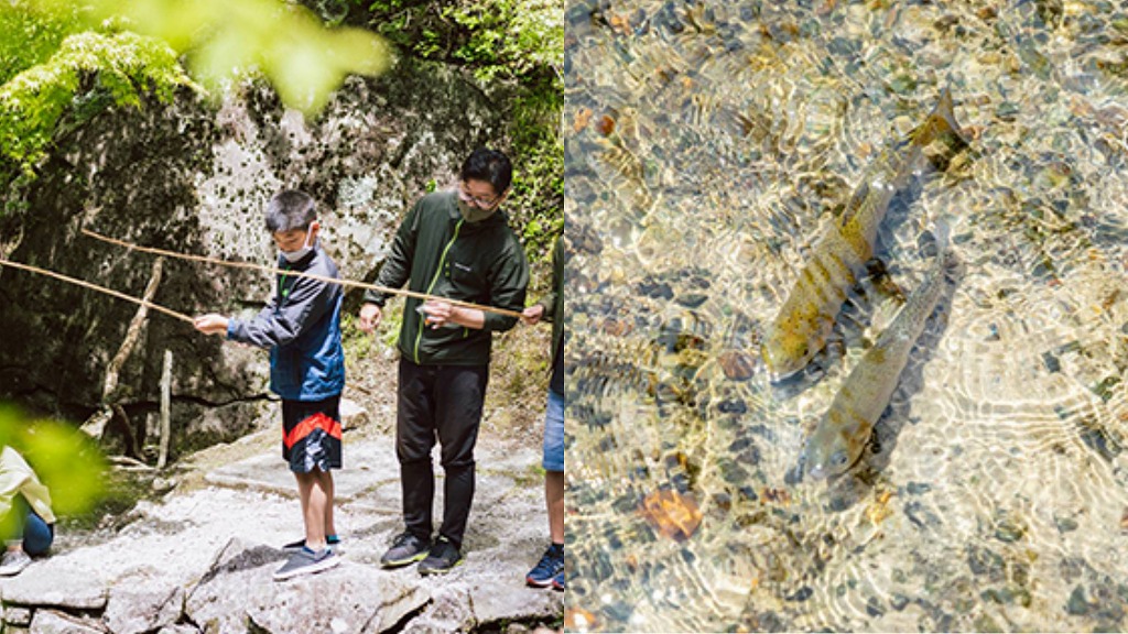 渓流釣り、魚のつかみ取り体験も可能