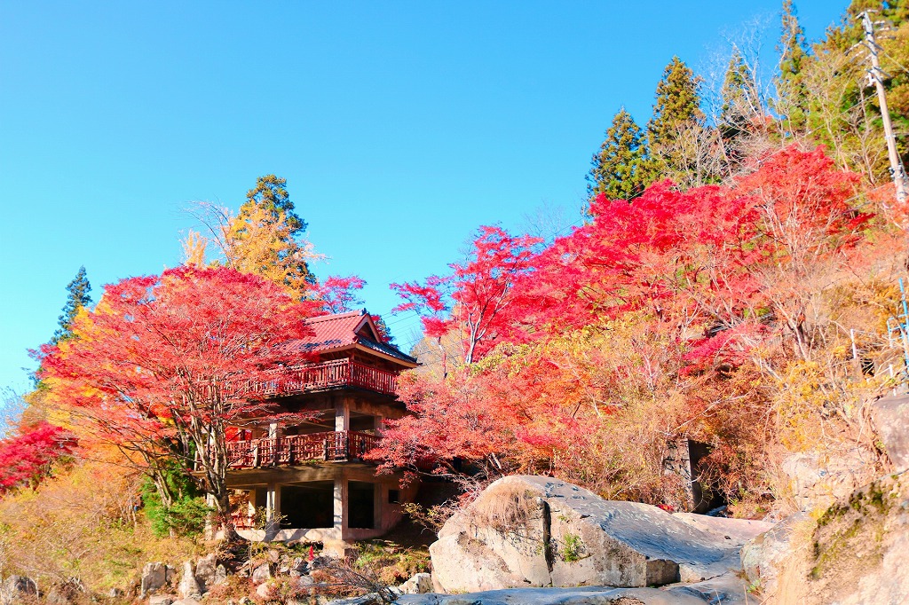 大井平公園の紅葉