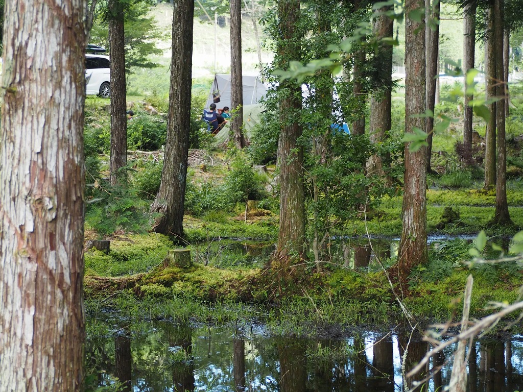 敷地内を歩くだけでも大自然を満喫できます