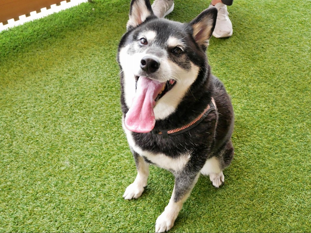 遊びもおやつも満喫し、楽しい思い出ができました！