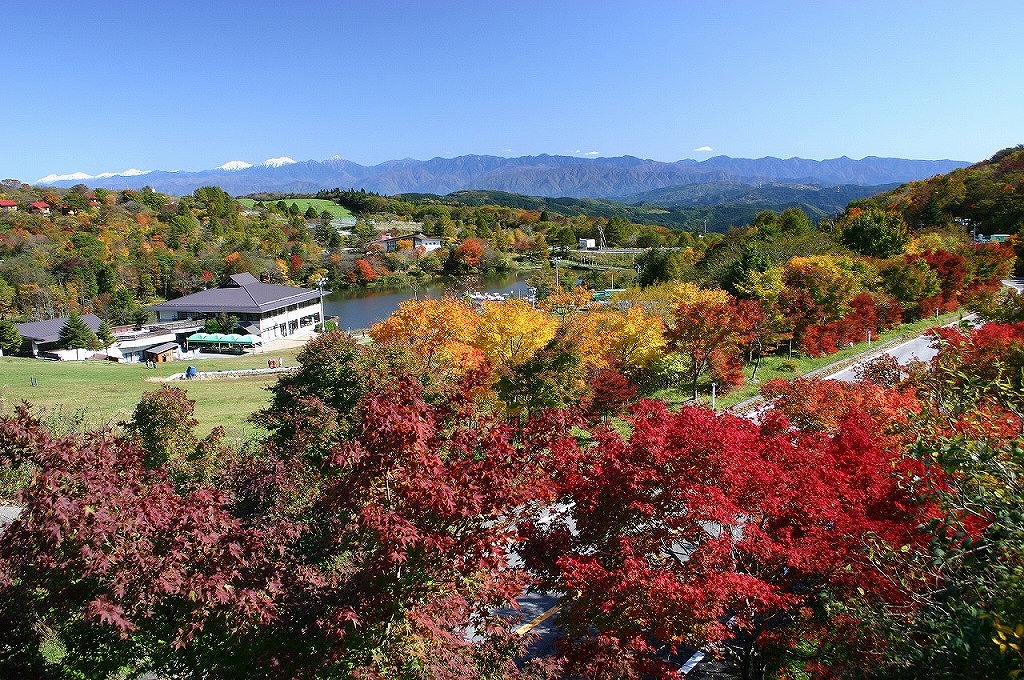 豊根村観光協会