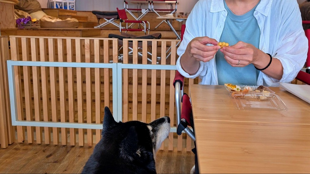 初めて見るおやつに興味津々！