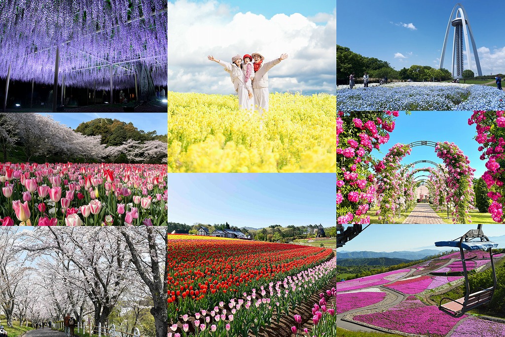 花めぐりへ出かけよう！豊田発・春の絶景スポット特集